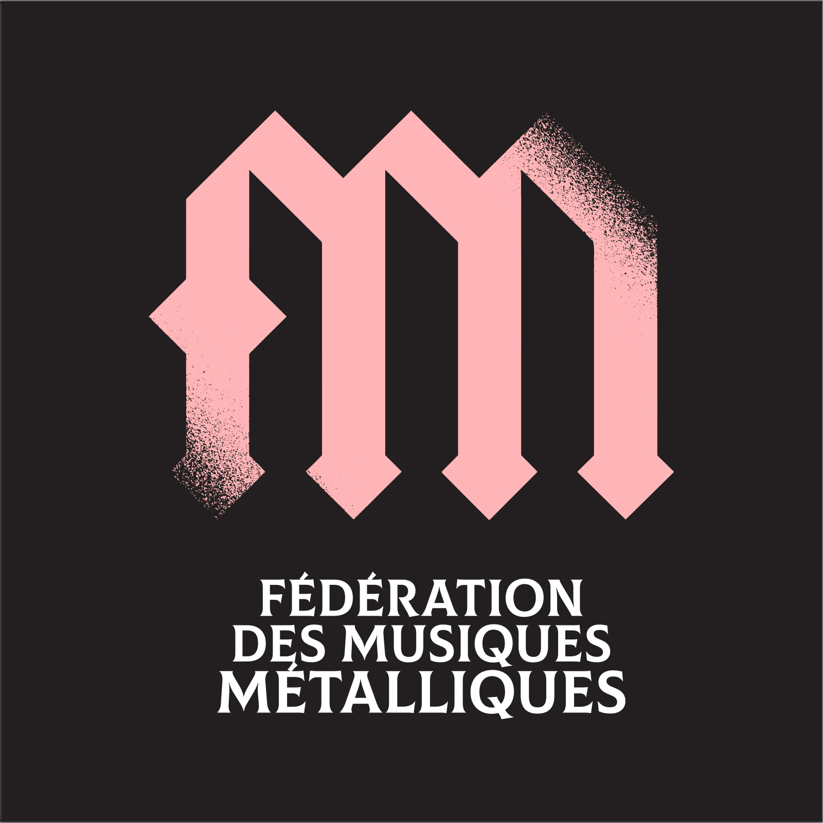 Le conseil d’administration de la FMM s’élargit