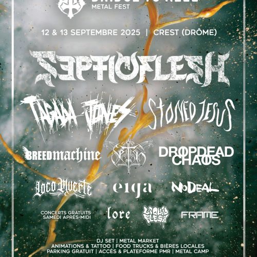 BRIDGE TO HELL : QUAND RÉSONNENT 5 ANS DE PASSION METALLIQUE !